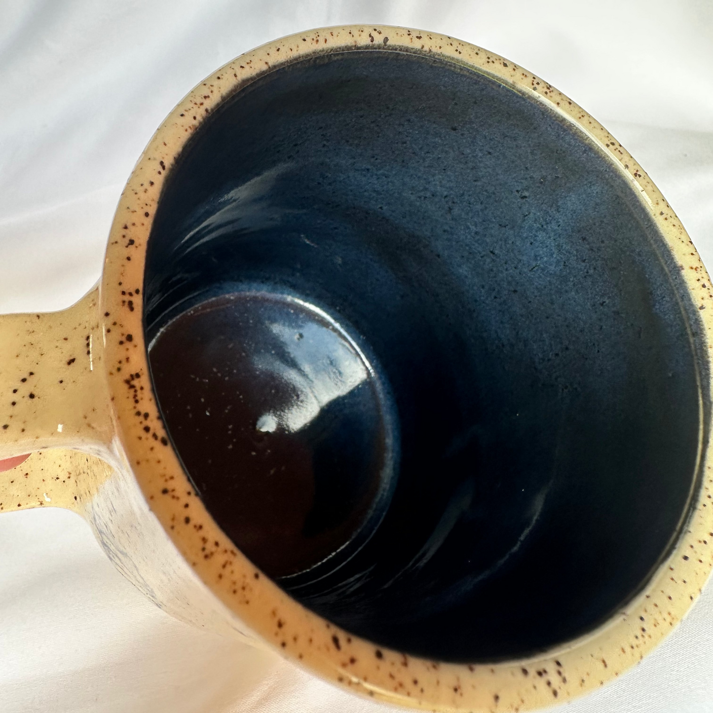 Seashell Drawings Mug