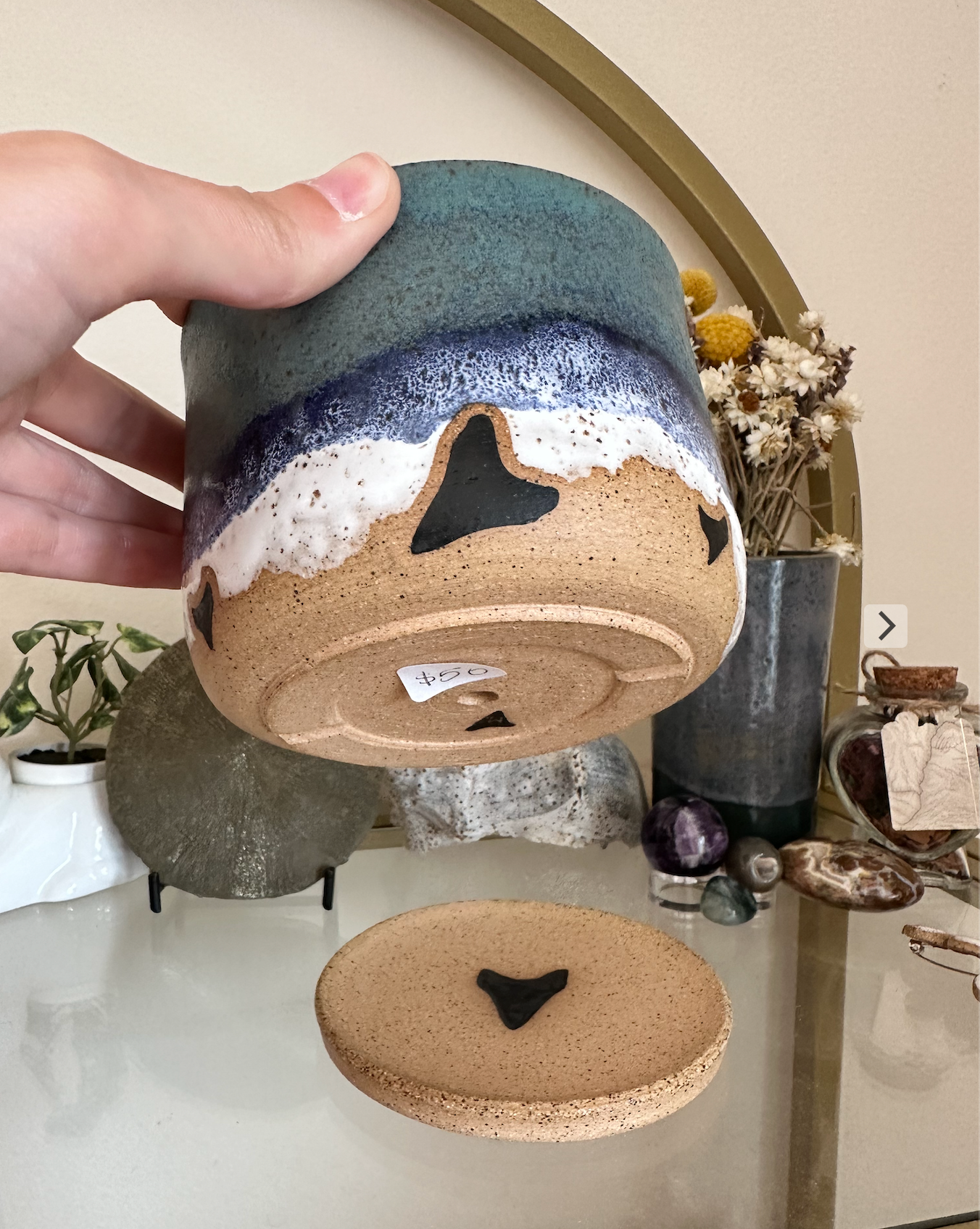 Shark Tooth & Ocean Planter & Plate