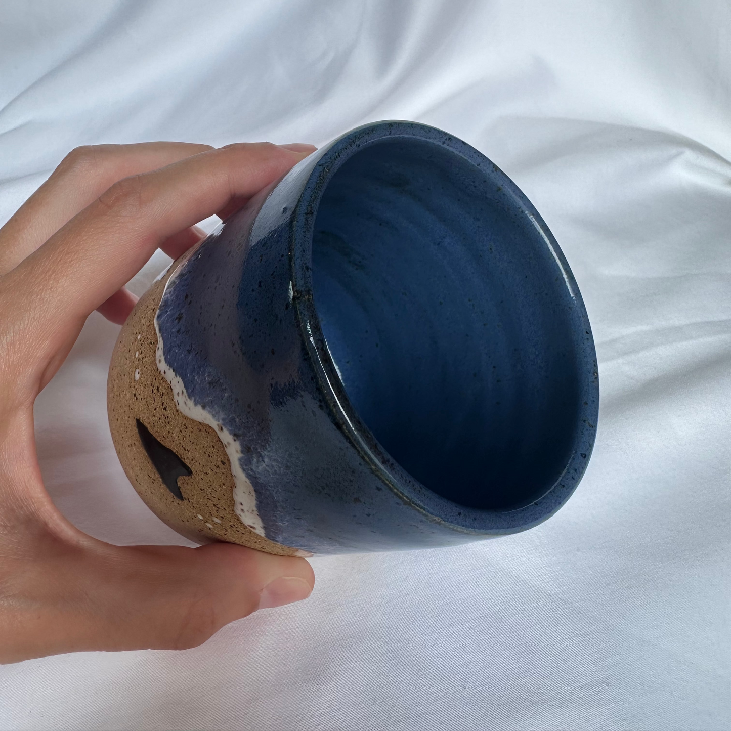 Ocean Break & Shark Teeth Cup
