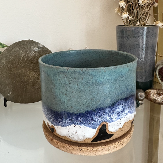 Shark Tooth & Ocean Planter & Plate